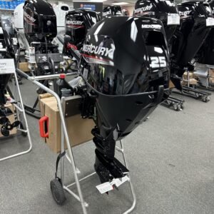 mercury-25mh-4-stroke-tiller-handle-outboard-motor